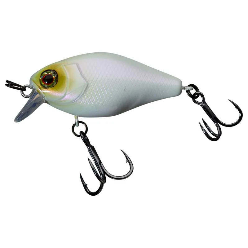 tackle-dealer-shop4874085
