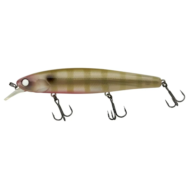 tackle-dealer-shop4874325