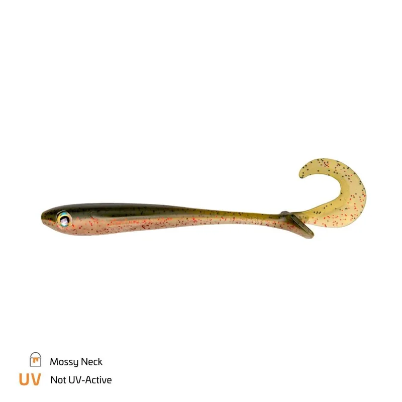 tackle-dealer-shop4885406