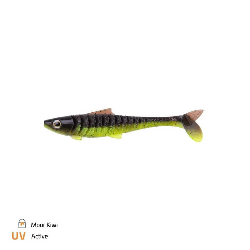 tackle-dealer-shop4885976