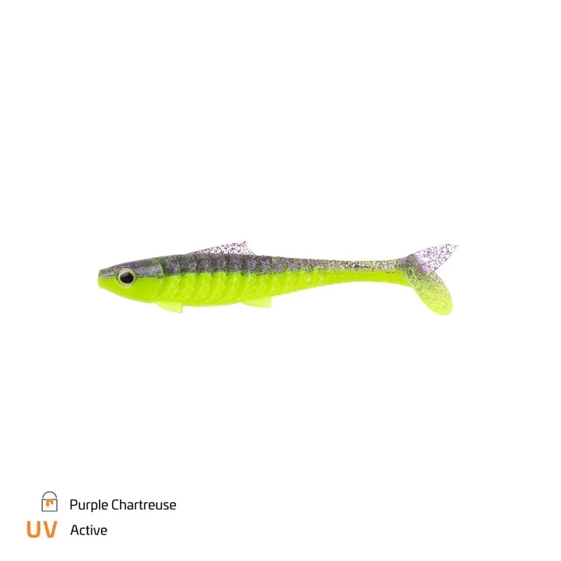 tackle-dealer-shop4886036