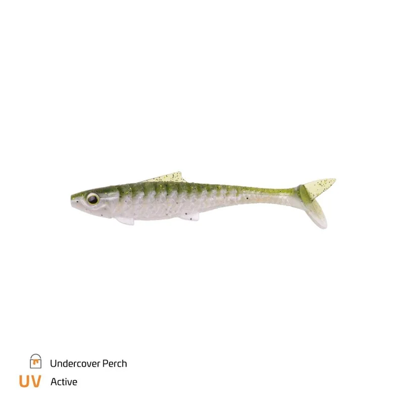 tackle-dealer-shop4886258