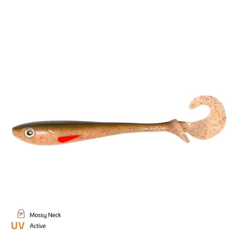 tackle-dealer-shop4887181