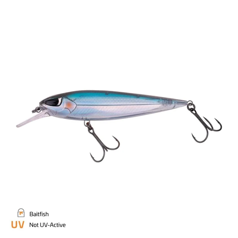 tackle-dealer-shop4887949