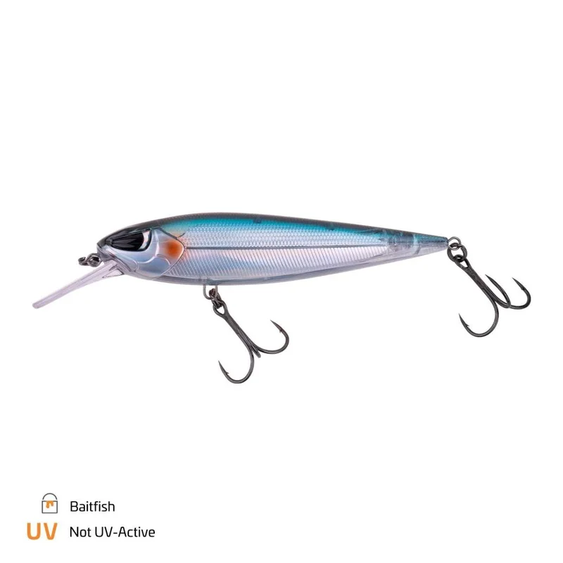 tackle-dealer-shop4888032