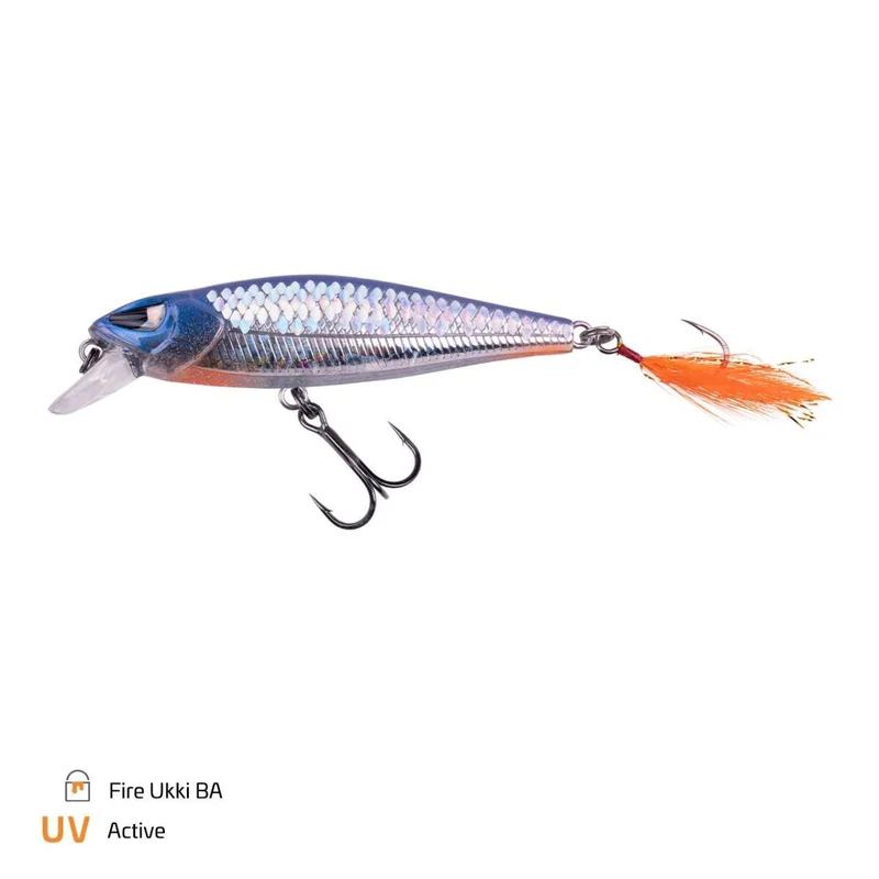tackle-dealer-shop4888458