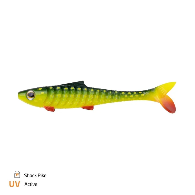 tackle-dealer-shop4890496