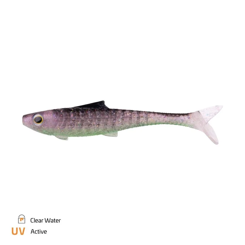 tackle-dealer-shop4890695