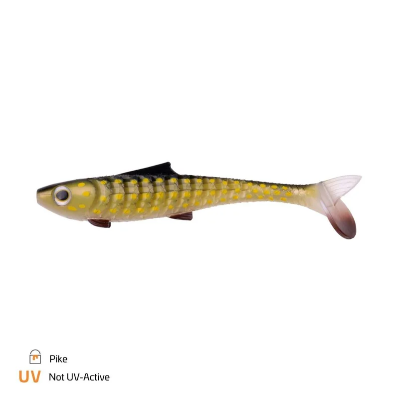 tackle-dealer-shop4890765