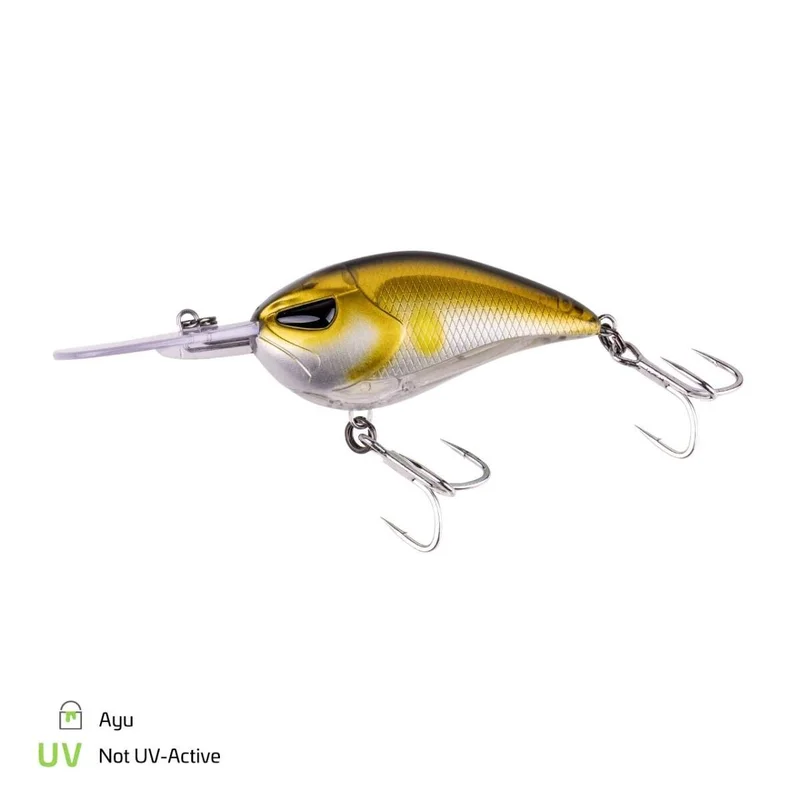 tackle-dealer-shop4905910