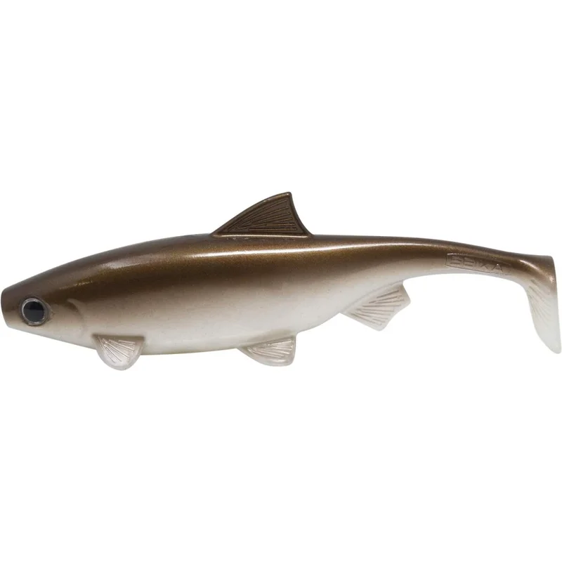 tackle-dealer-shop4923248