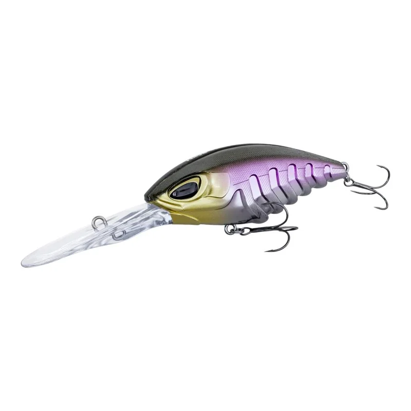 tackle-dealer-shop4940236