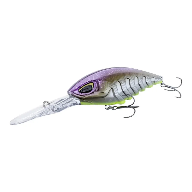 tackle-dealer-shop4940279