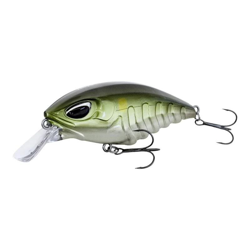 tackle-dealer-shop4940569