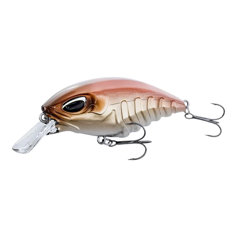 tackle-dealer-shop4940637