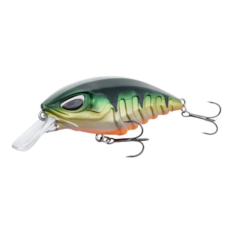 tackle-dealer-shop4940998
