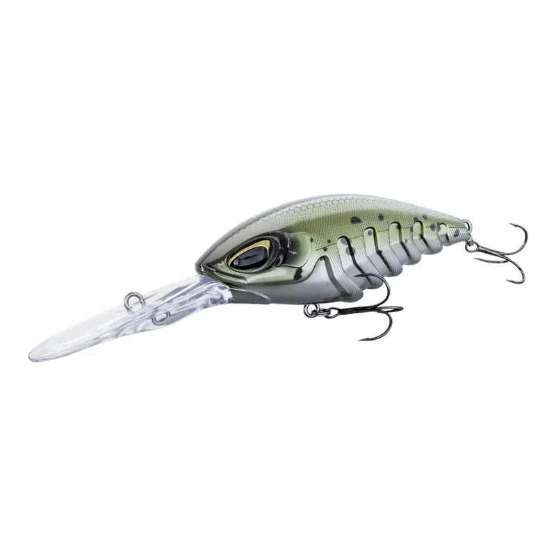 tackle-dealer-shop4941103