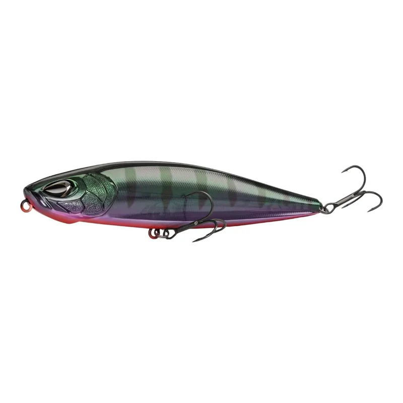 tackle-dealer-shop4945979