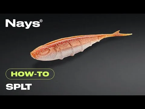 tackle-dealer-shop4947460