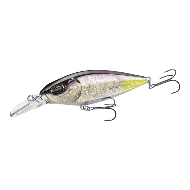 tackle-dealer-shop4953128