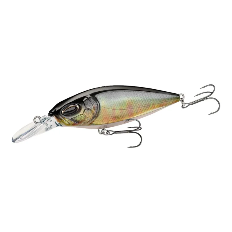 tackle-dealer-shop4953215