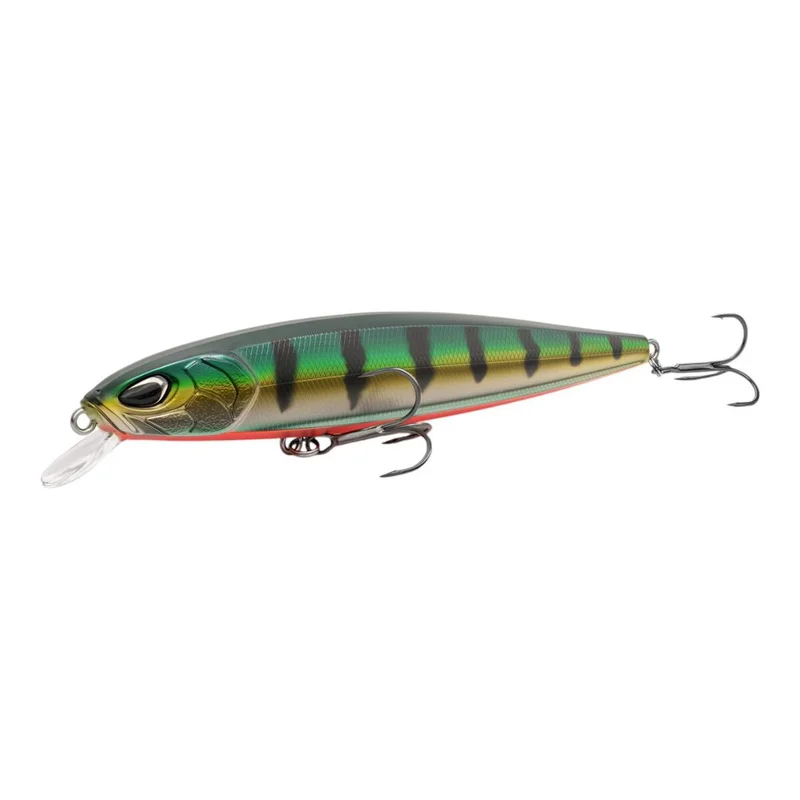 tackle-dealer-shop4953257