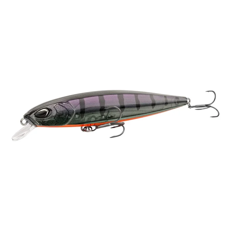 tackle-dealer-shop4953310