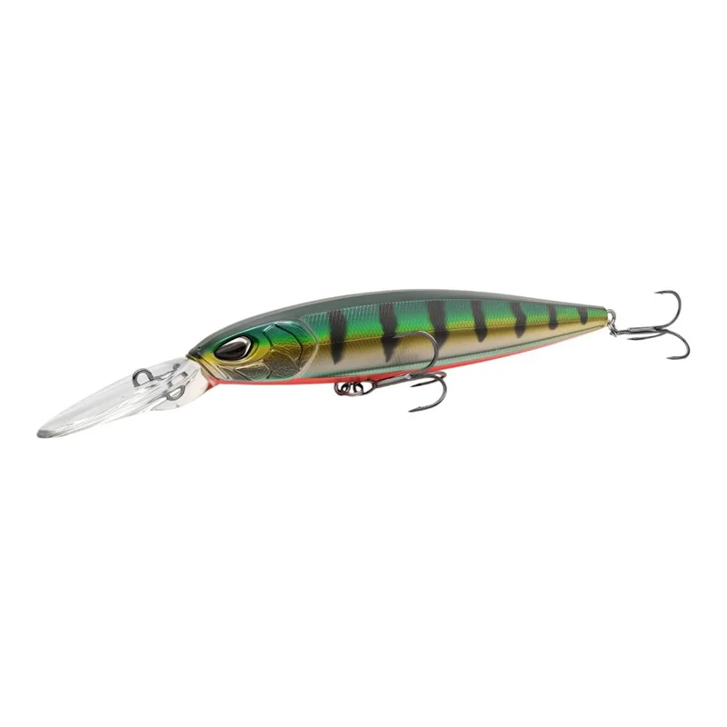 tackle-dealer-shop4953413
