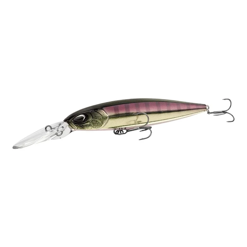 tackle-dealer-shop4953528