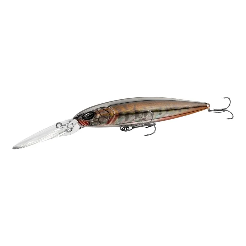 tackle-dealer-shop4953695