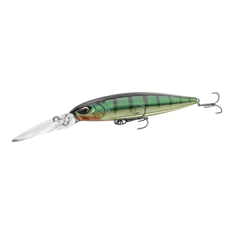 tackle-dealer-shop4954076
