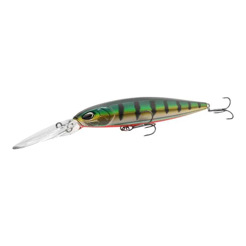 tackle-dealer-shop4954606