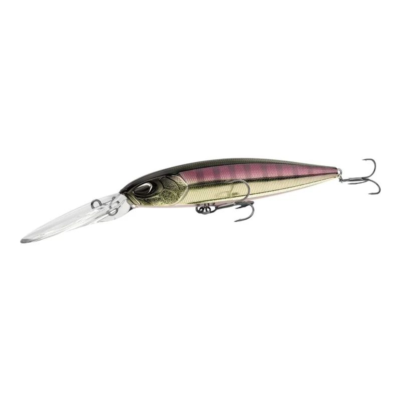 tackle-dealer-shop4954710