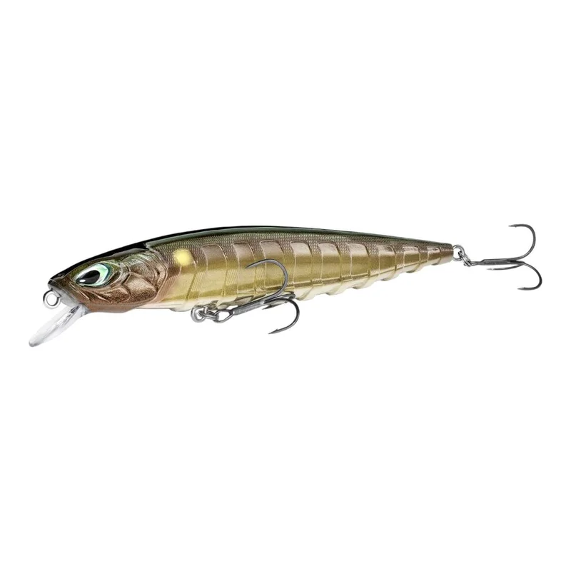 tackle-dealer-shop4954804