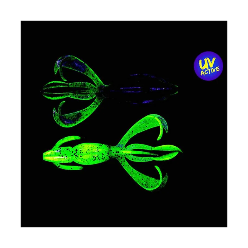 tackle-dealer-shop4956629