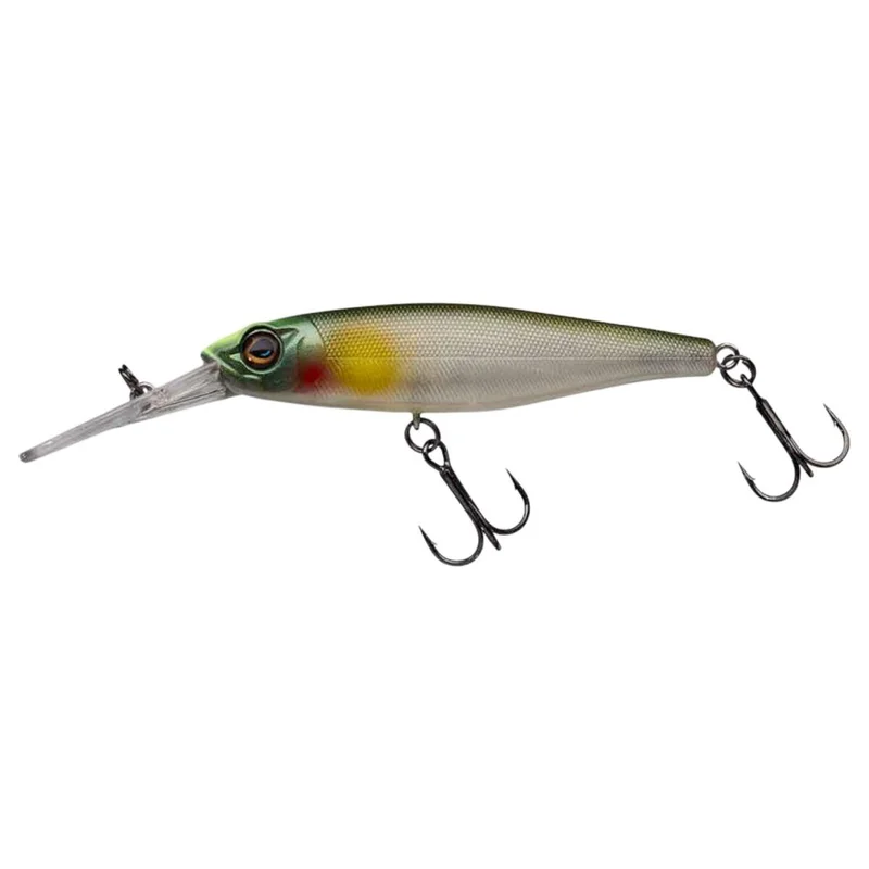 tackle-dealer-shop4975397