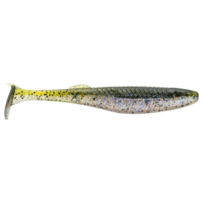 tackle-dealer-shop4977319