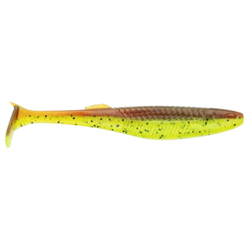tackle-dealer-shop4977367