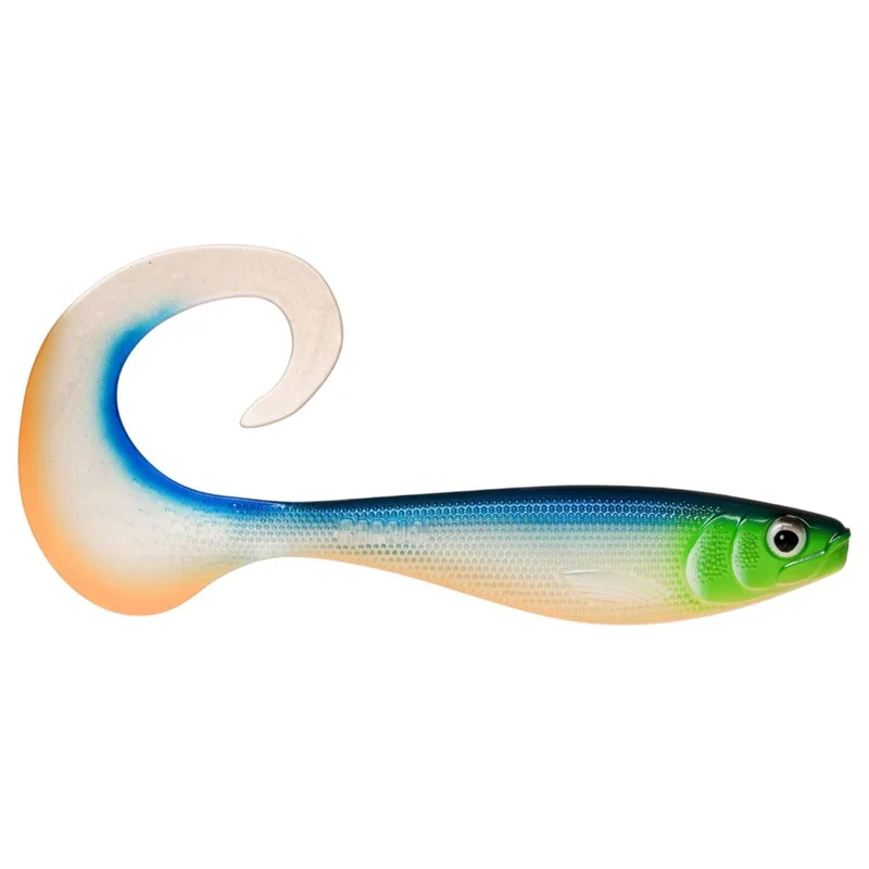 tackle-dealer-shop4979541