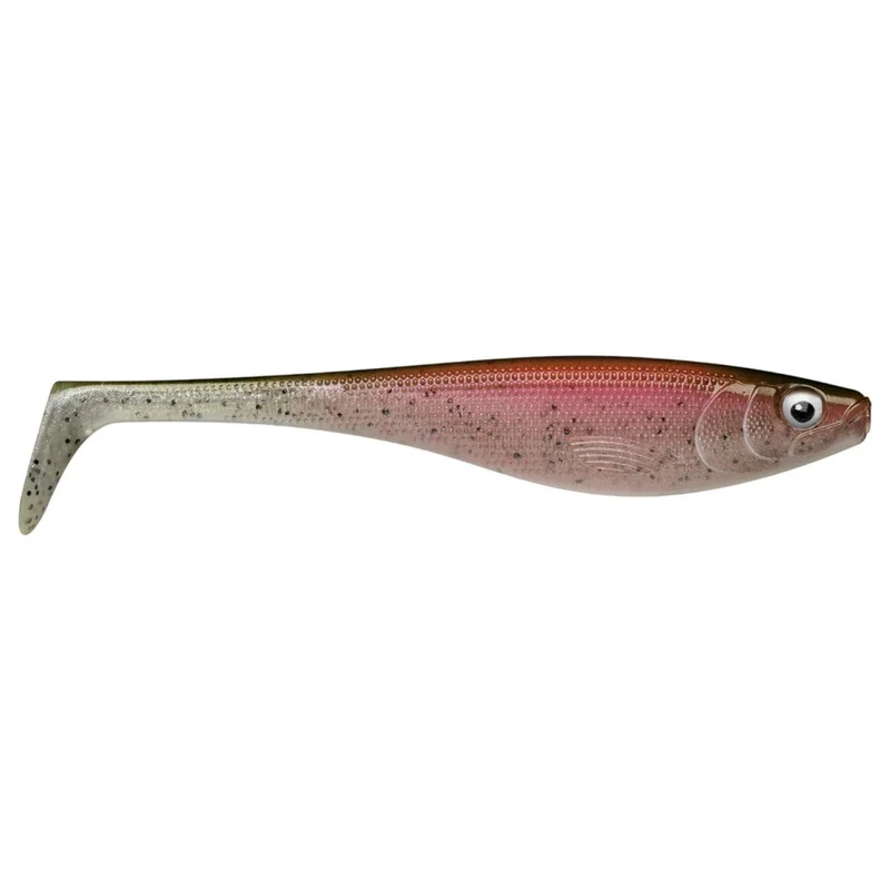 tackle-dealer-shop4980259