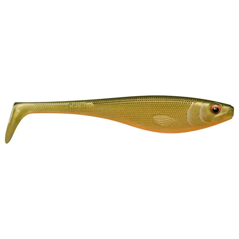 tackle-dealer-shop4980286