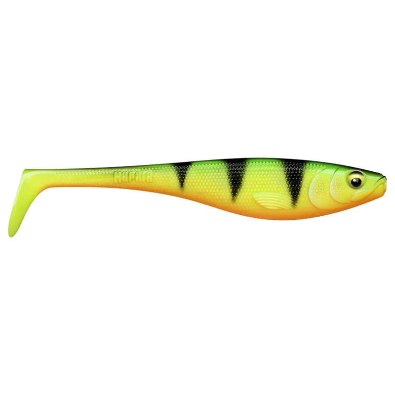 tackle-dealer-shop4980609