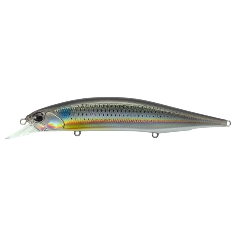 tackle-dealer-shop4981001