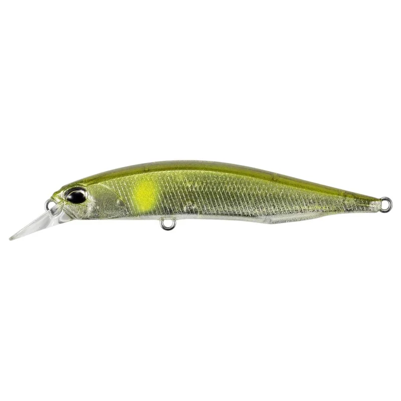 tackle-dealer-shop4981479