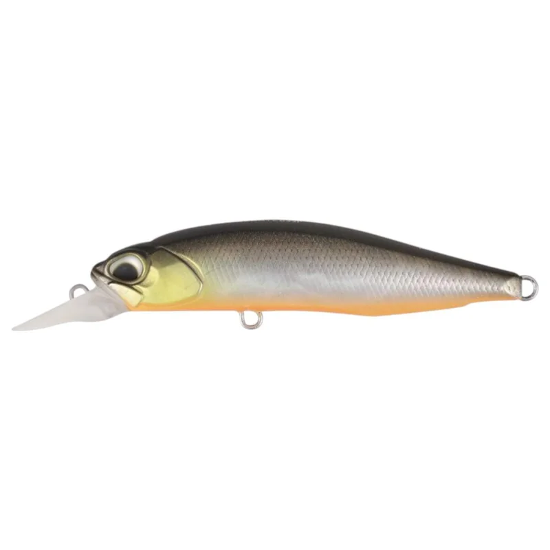 tackle-dealer-shop4982057