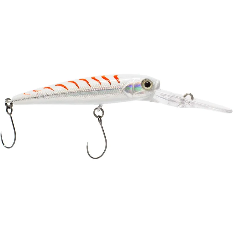 tackle-dealer-shop4999776