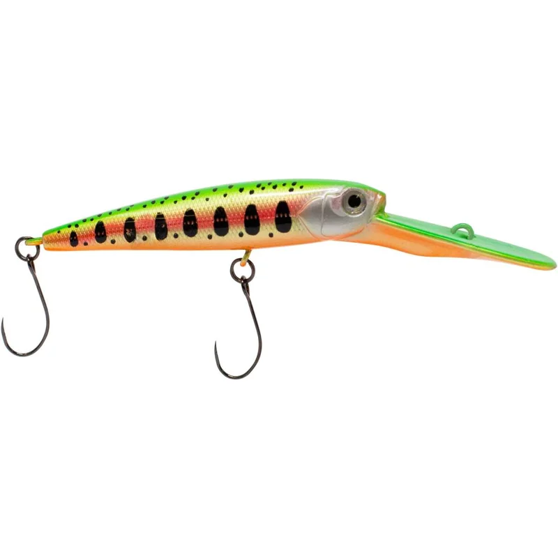 tackle-dealer-shop4999799