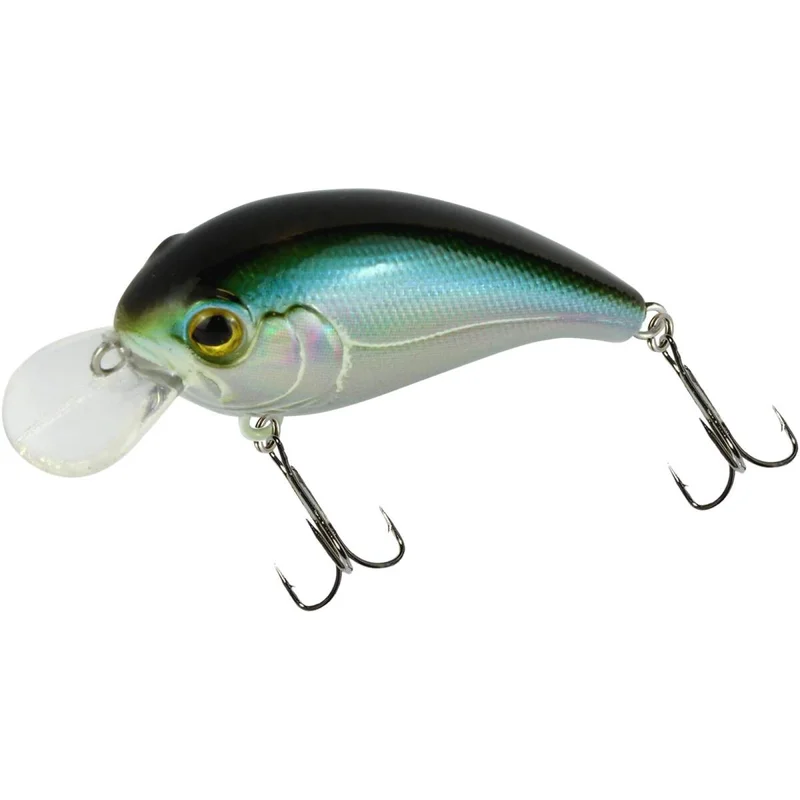 tackle-dealer-shop5000575