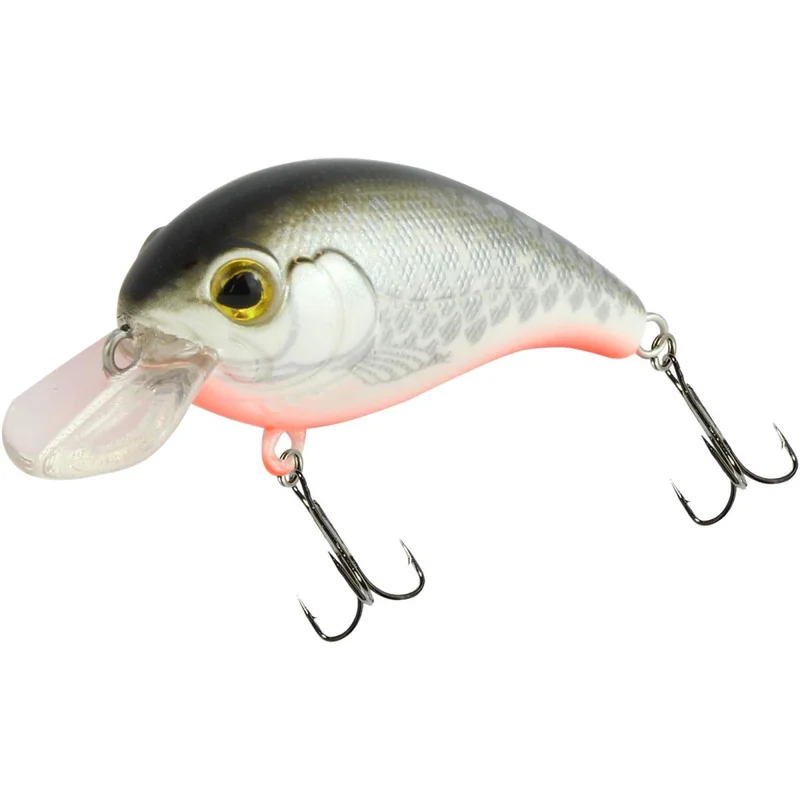 tackle-dealer-shop5000650