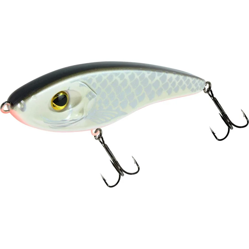 tackle-dealer-shop5000791
